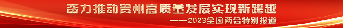 奮力推動貴州高質量發展實現新跨越
